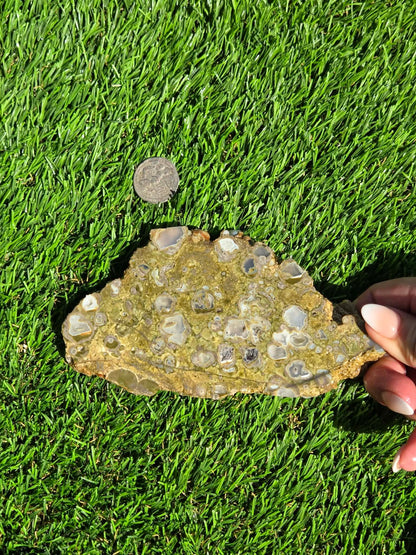 Green Mushroom Rhyolite M630-638