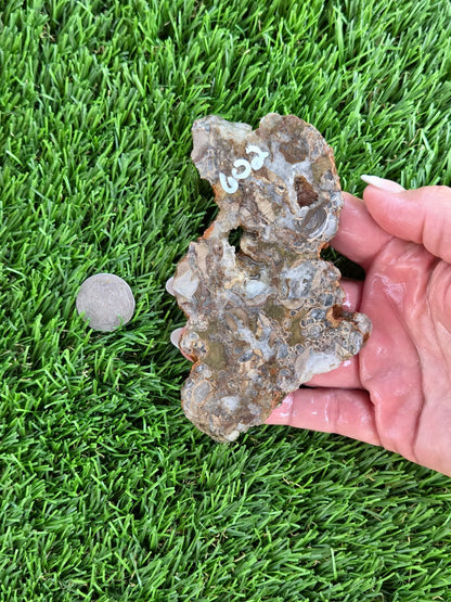 Green Mushroom Rhyolite M601-604