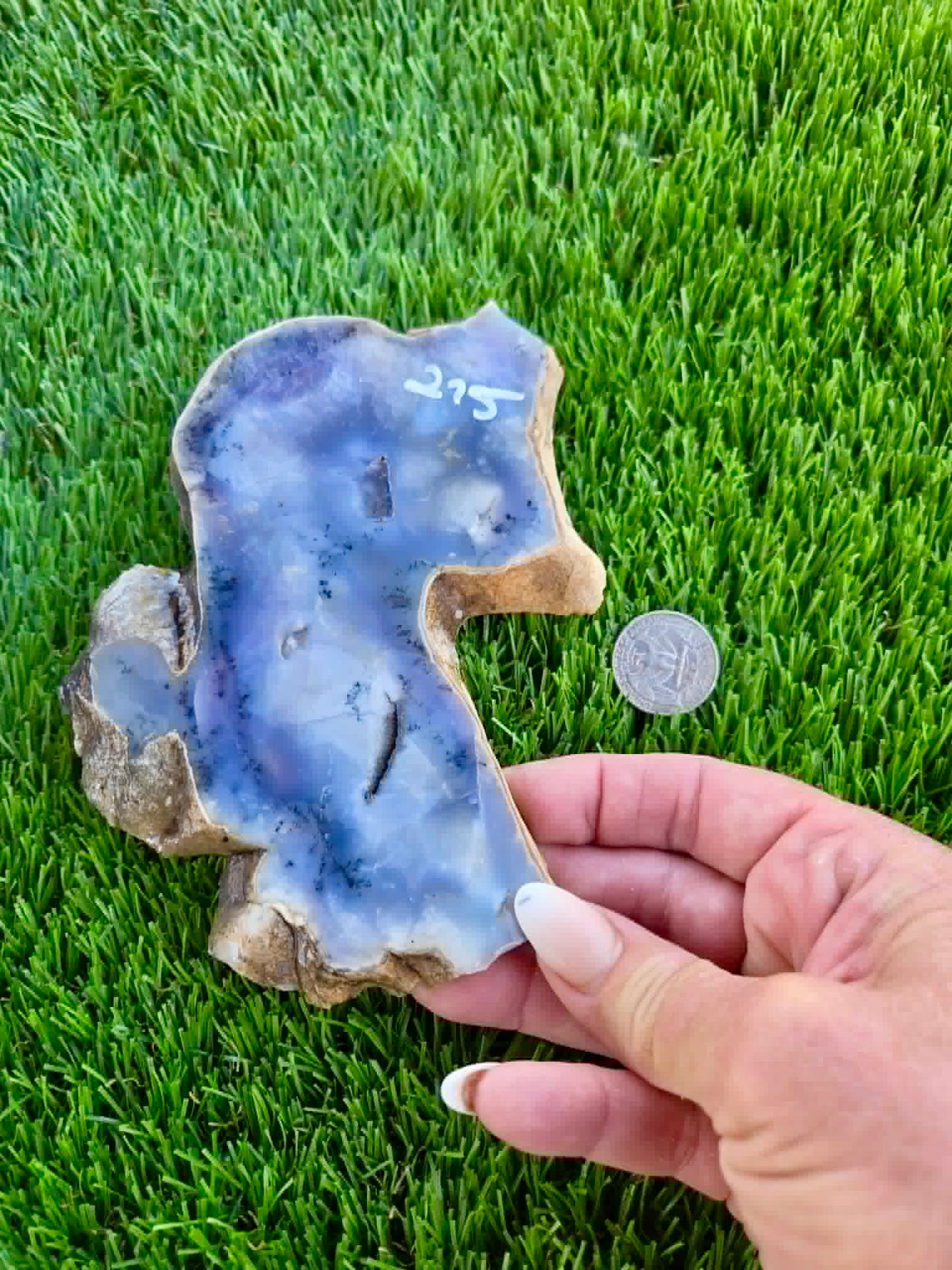 Purple Burro Creek Agate Slab 275-280