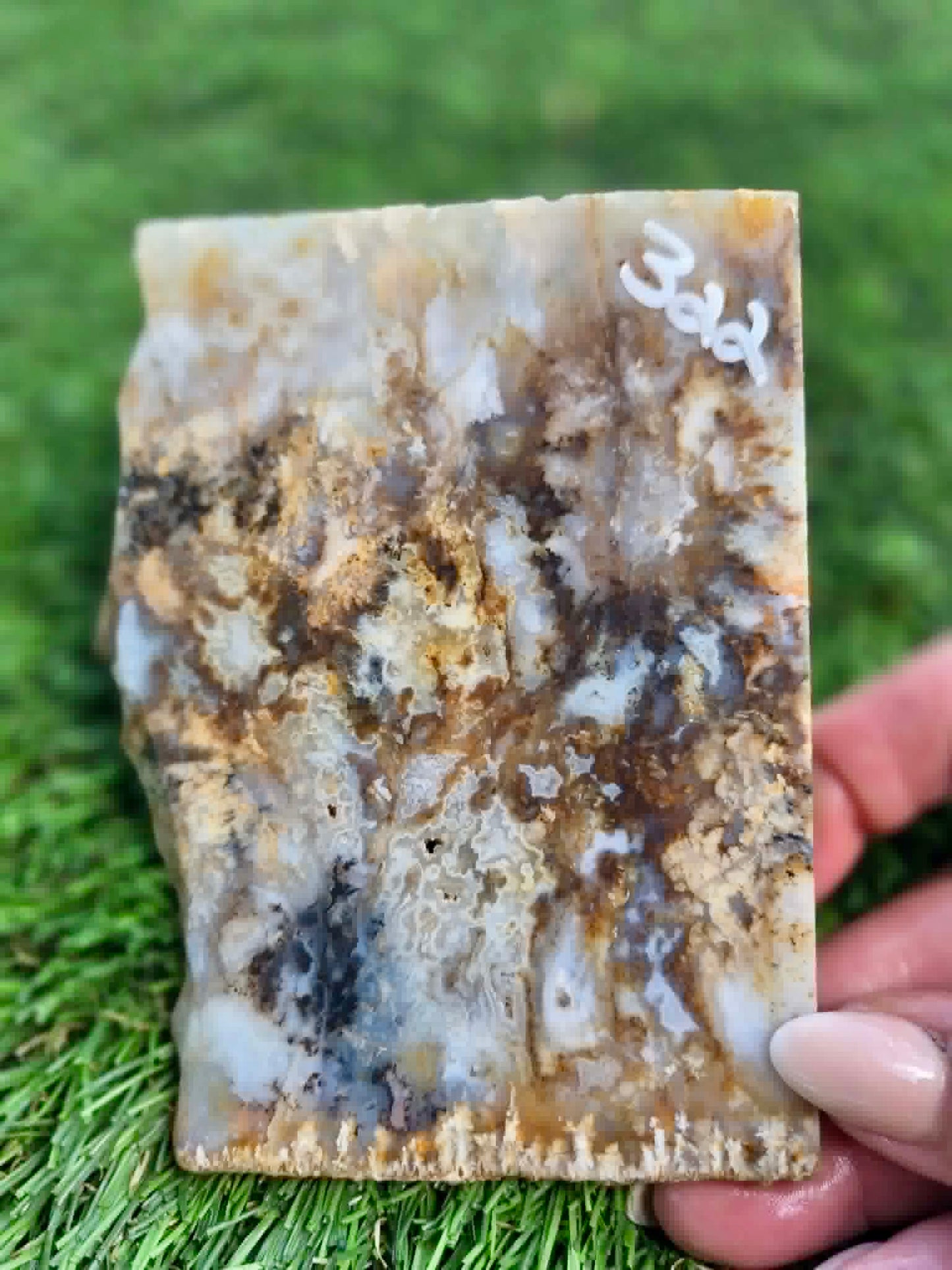 Graveyard Point Plume Agate Slabs G317-322