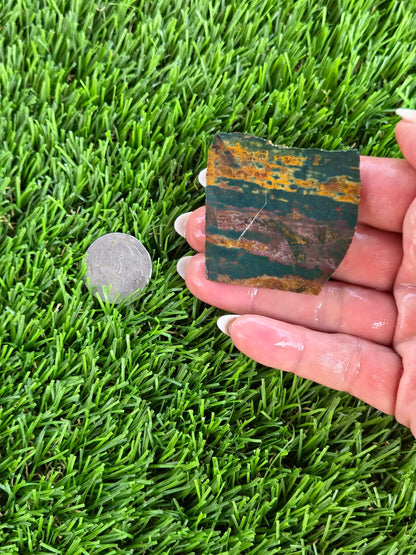 Green Jasper with Tiger Stripes Slabs M605-611