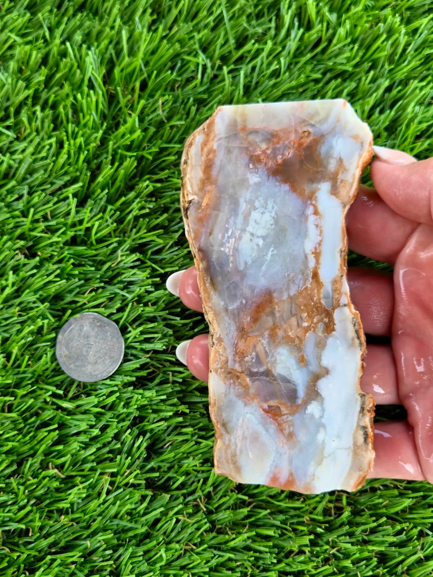 Peach, Cream & Gray Banded Agate Slabs N678-683