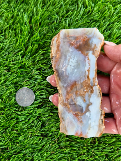 Peach, Cream & Gray Banded Agate Slabs N678-683