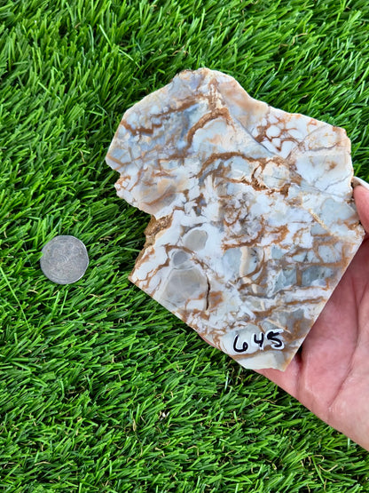 Natural Brecciated Jasper Slabs N645-649