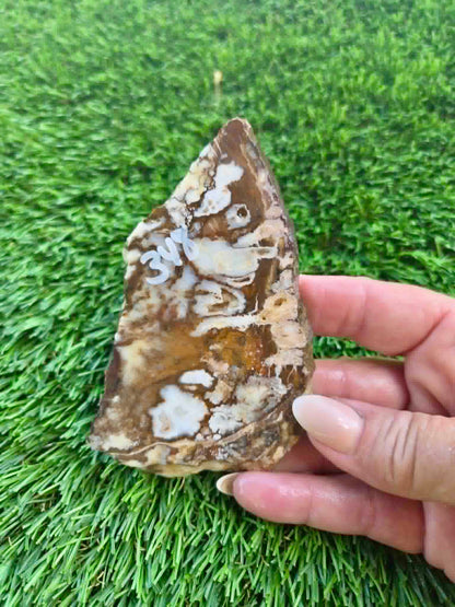 Wild Horse Jasper Slabs G342-348