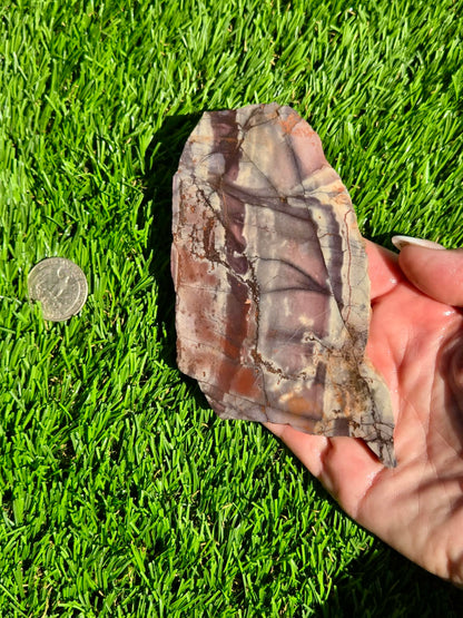 Picasso Jasper Slabs J497-502
