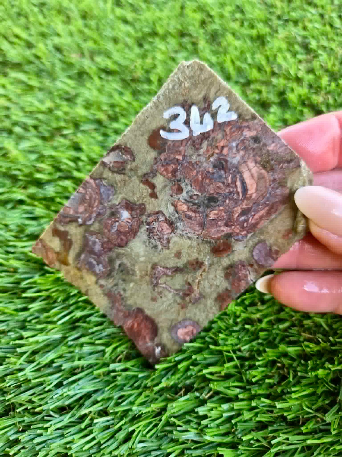 Green Mushroom Rhyolite Slabs G360-362