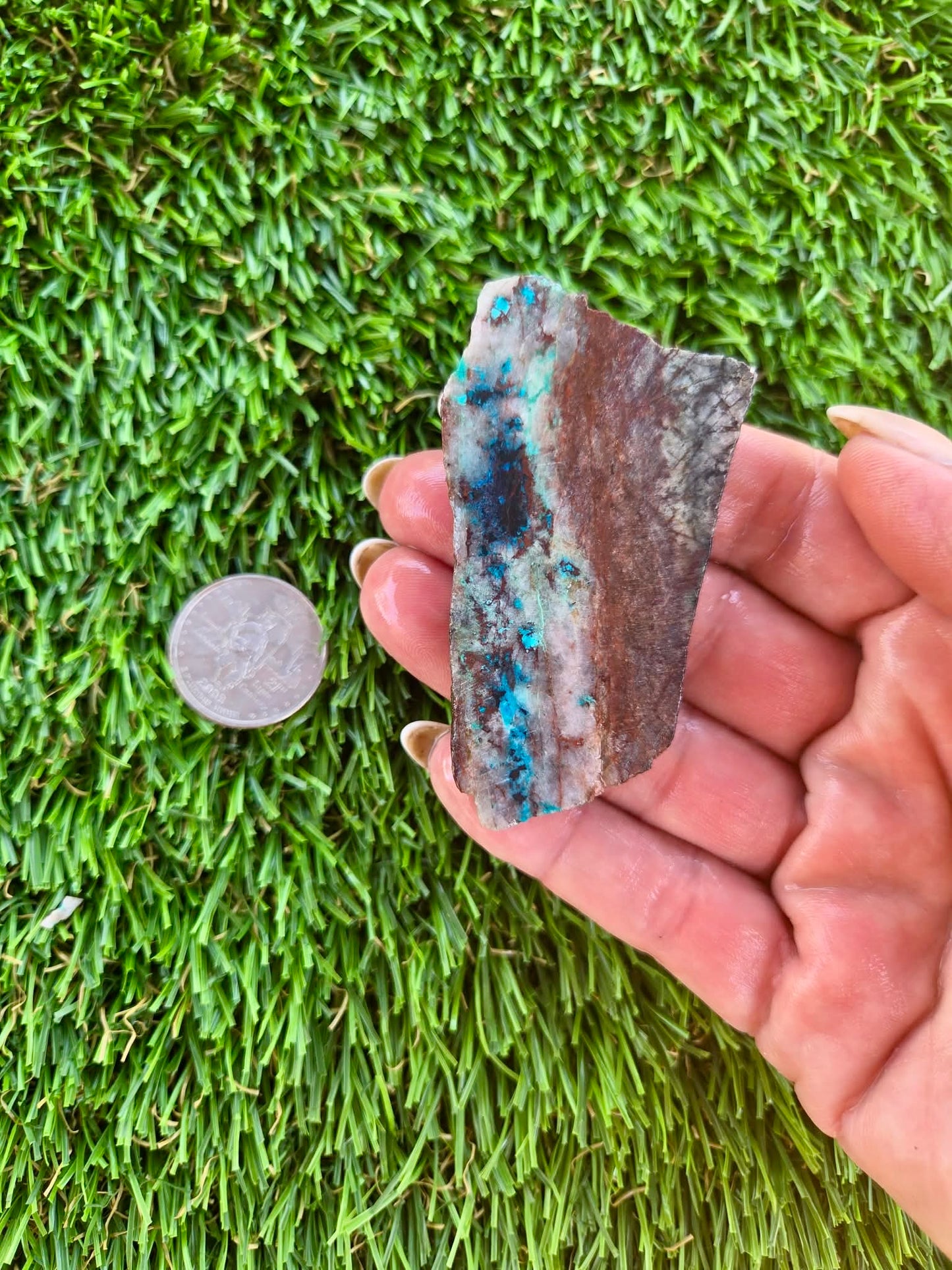 Shattuckite Slabs B95-100