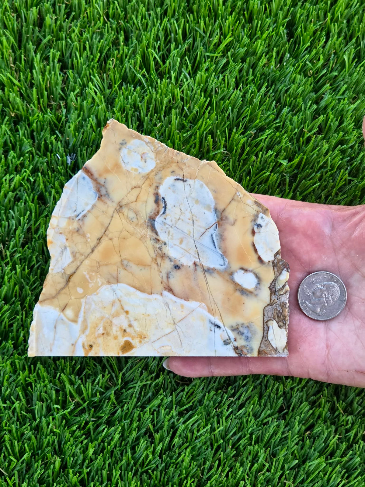 Brecciated Jasper Slabs T917–921