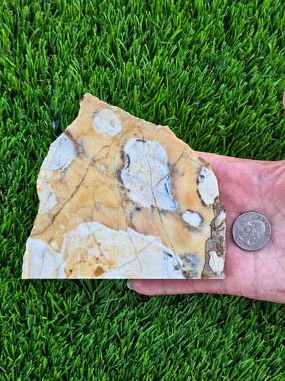 Brecciated Jasper Slabs T917–921