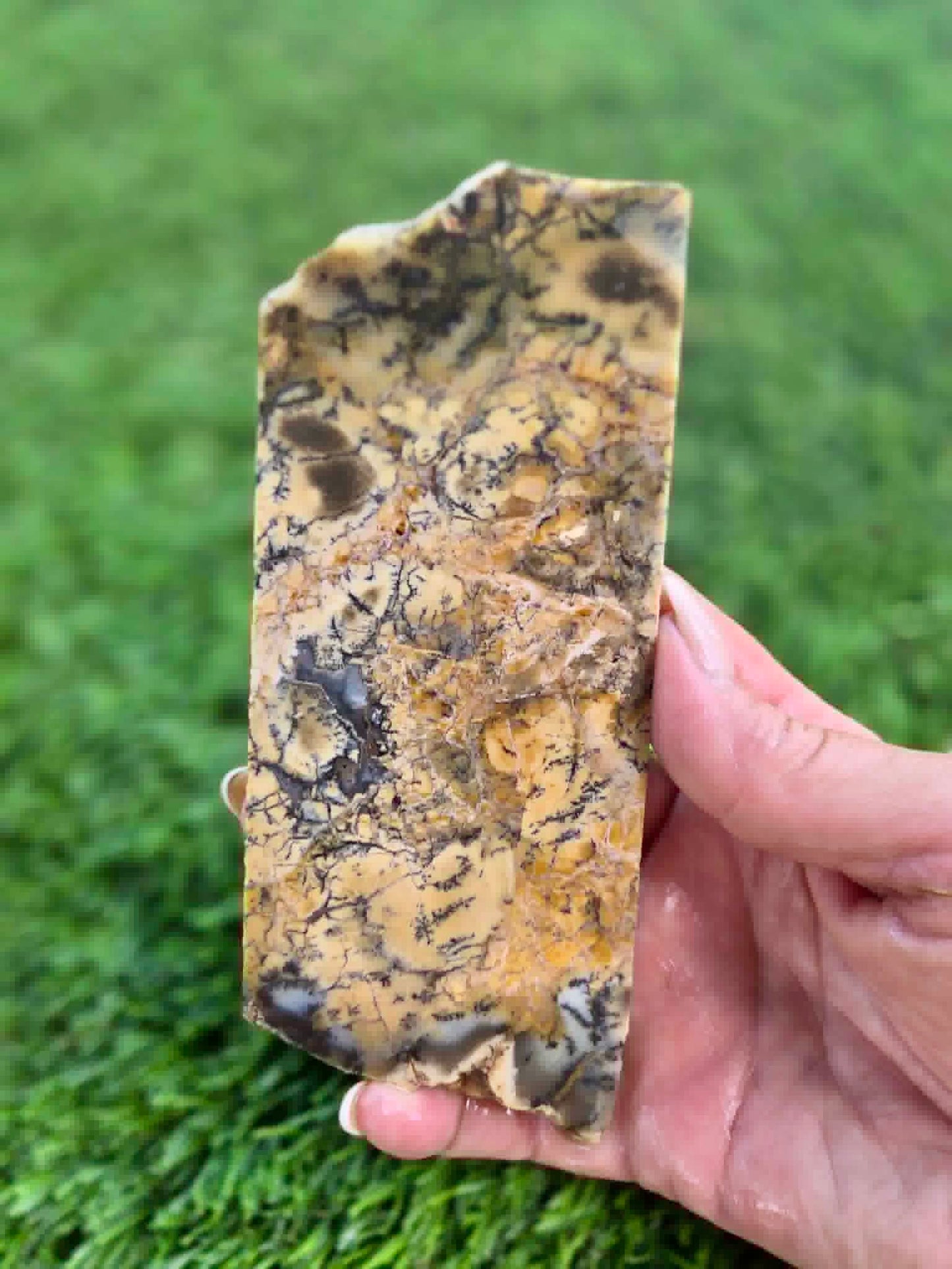Dendritic Jasper Slabs G335-337