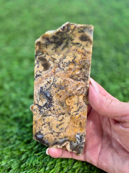 Dendritic Jasper Slabs G335-337