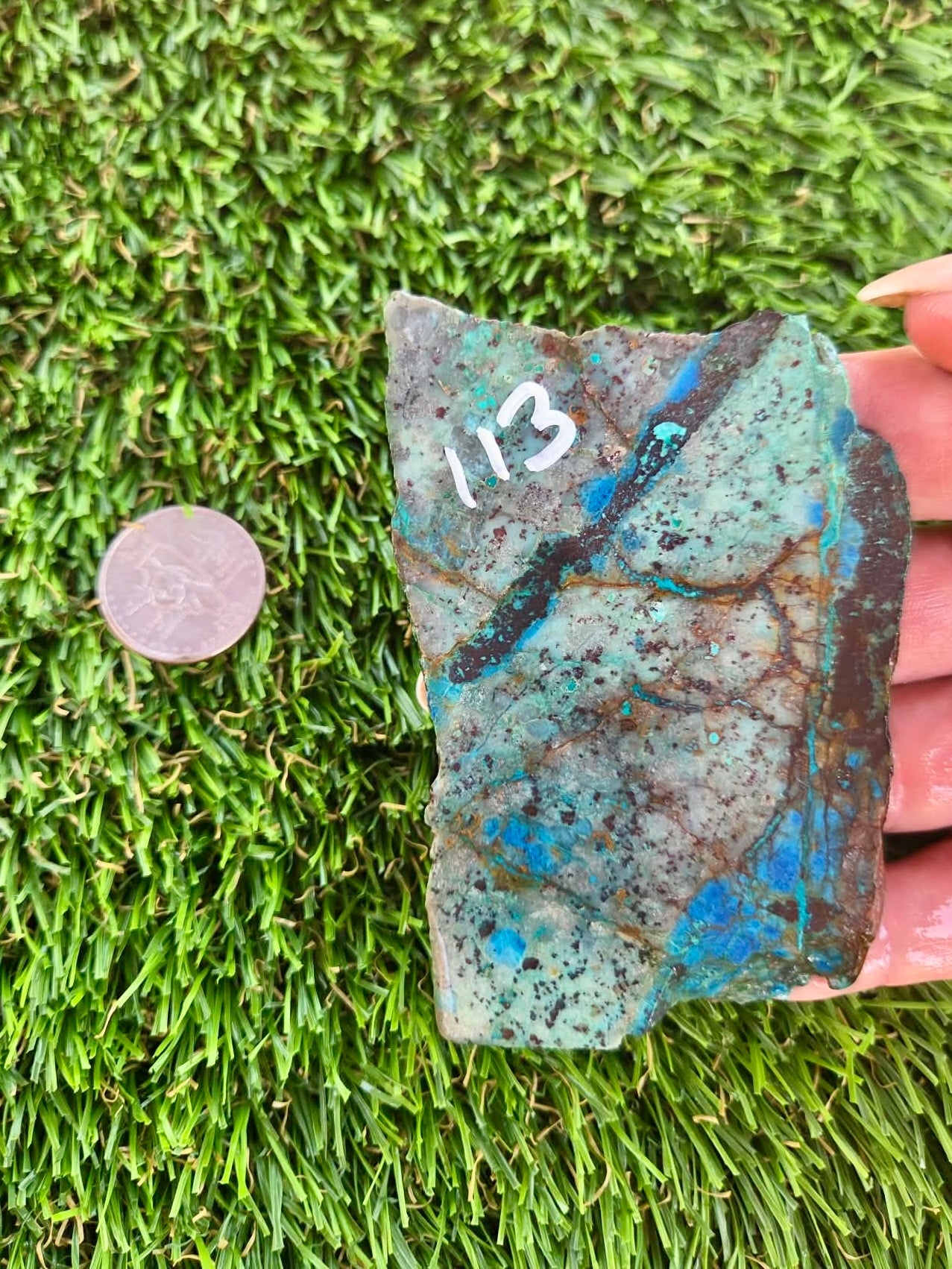 Shattuckite with Azurite & Malachite Slabs B113-119