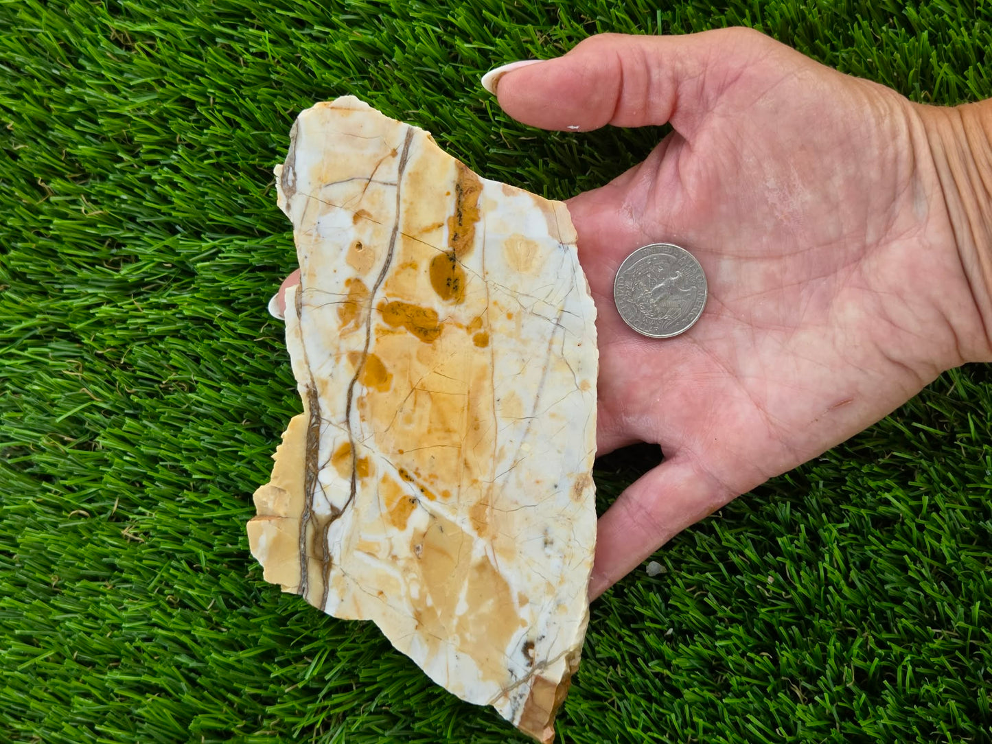 Brecciated Jasper Slabs T917–921