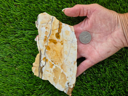 Brecciated Jasper Slabs T917–921