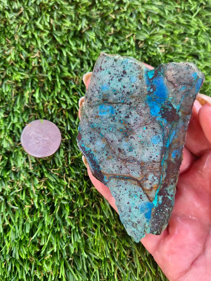 Shattuckite with Azurite & Malachite Slabs B113-119