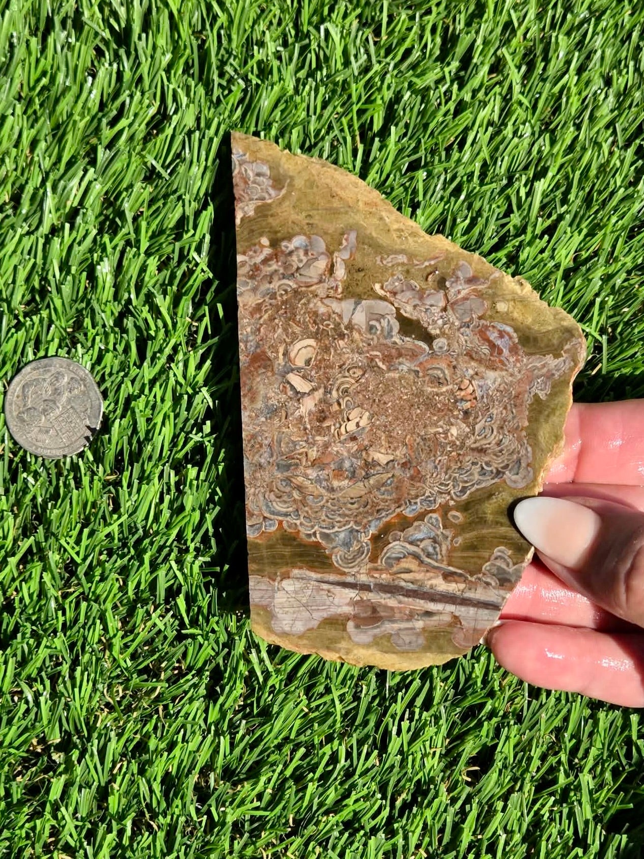 Green Mushroom Rhyolite M630-638
