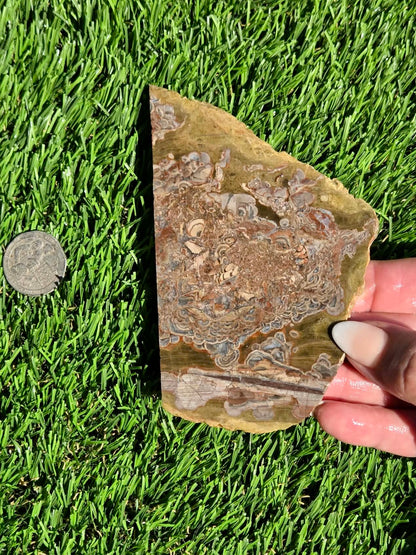Green Mushroom Rhyolite M630-638