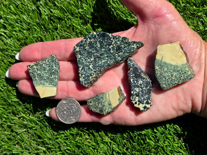 Spotted Jasper – Dalmatian-Type Slab Bundle SB132
