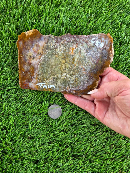 Brecciated Jasper Slabs N658-660