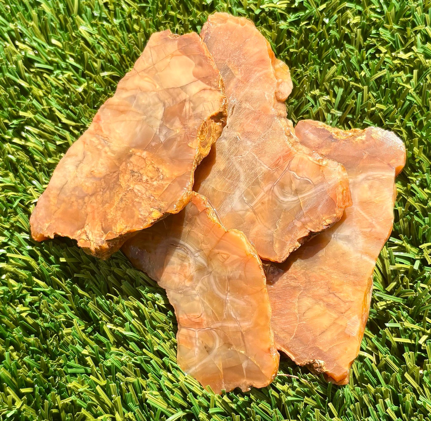 Arizona Agatized Petrified Wood