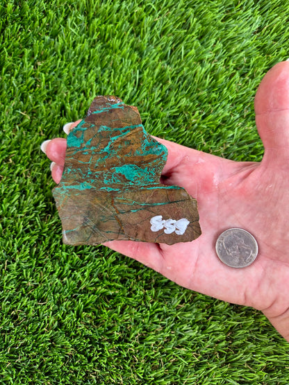 Globe Chrysocolla & Malachite Slabs R859–863