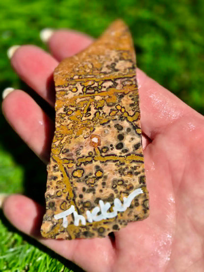 Leopard Skin Jasper Slabs H371-378