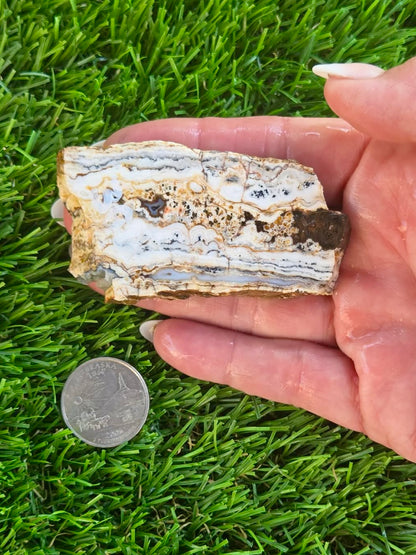 Camp Verde Agate H396-400