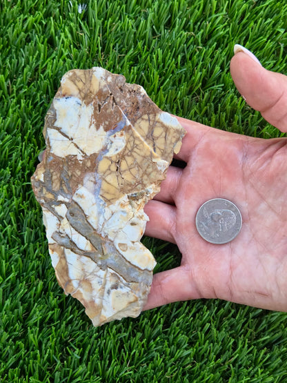 Brecciated Jasper Slabs T917–921