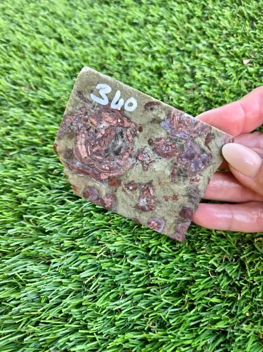 Green Mushroom Rhyolite Slabs G360-362