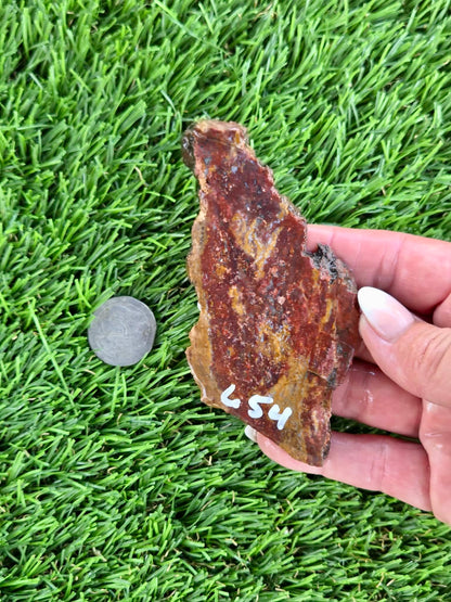 Red & Mustard Jasper Slabs N652-657