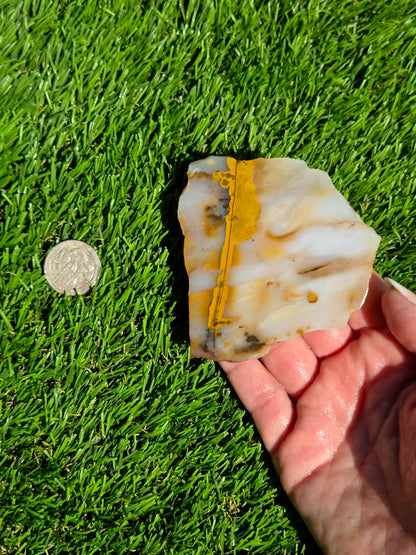 Mascotero Jasper Slabs M618-623
