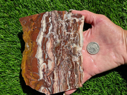 Banded Brecciated Jasper with Agate Slabs O686–689