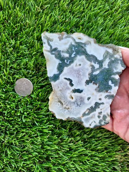 Moss Agate with Crystal Pockets Slabs H366-370