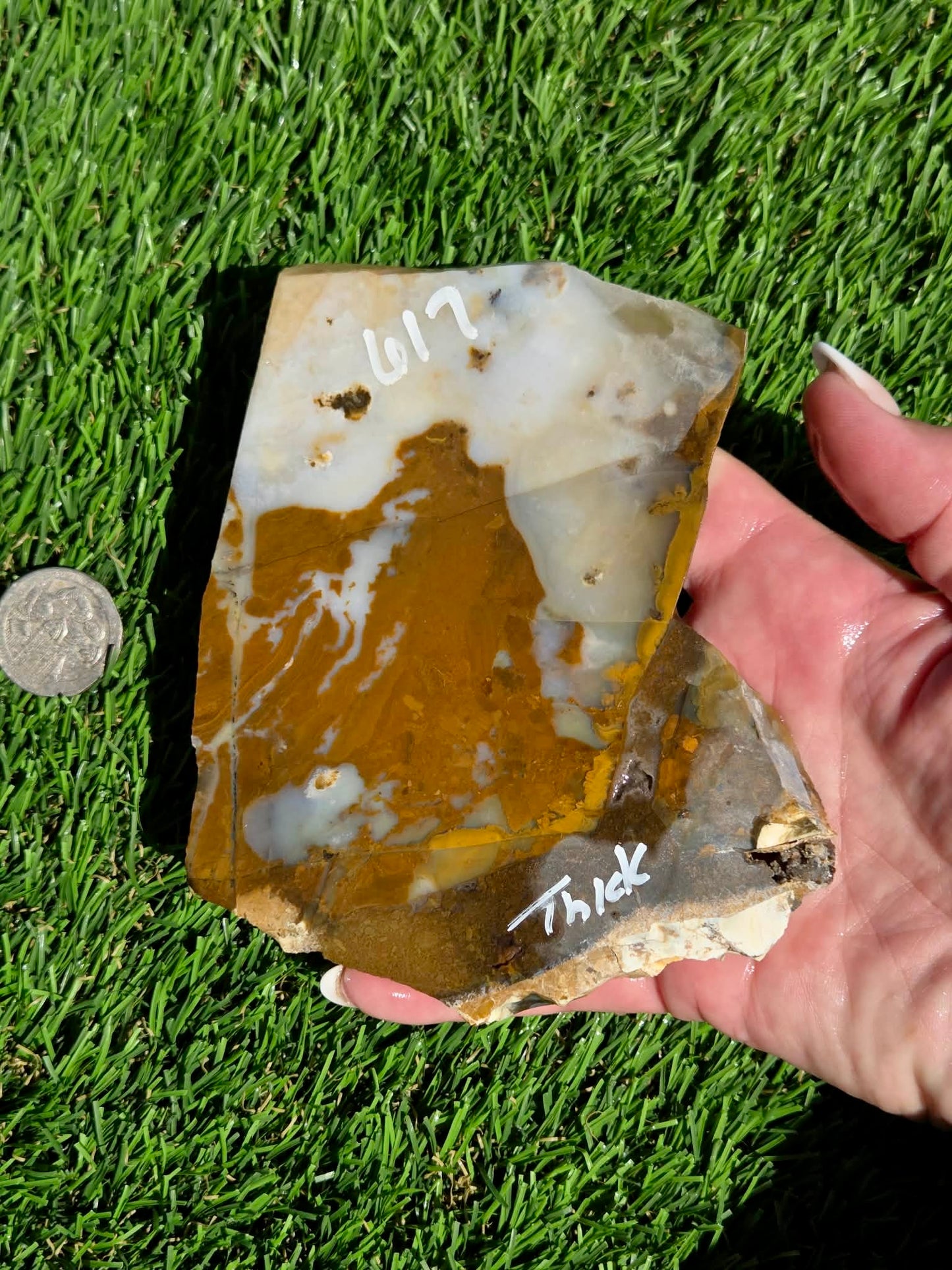 Oregon Polka Dot Jasper Slabs M612-617