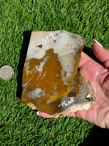 Oregon Polka Dot Jasper Slabs M612-617