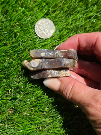 Indonesian Agate Slab Bundle SB99