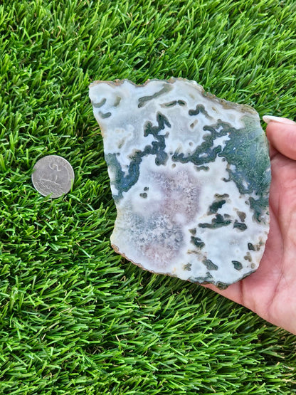 Moss Agate with Crystal Pockets Slabs H366-370