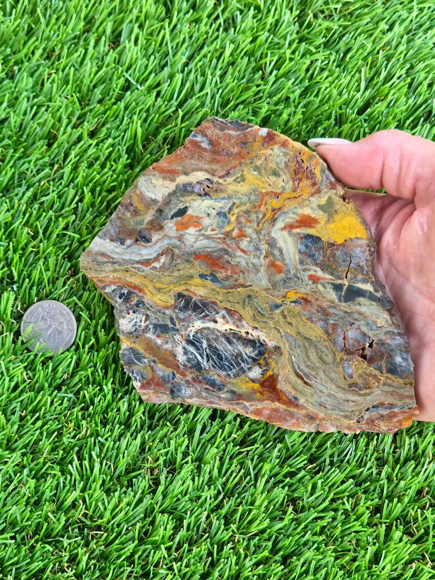 Rainbow Petrified Wood Slabs K518-519
