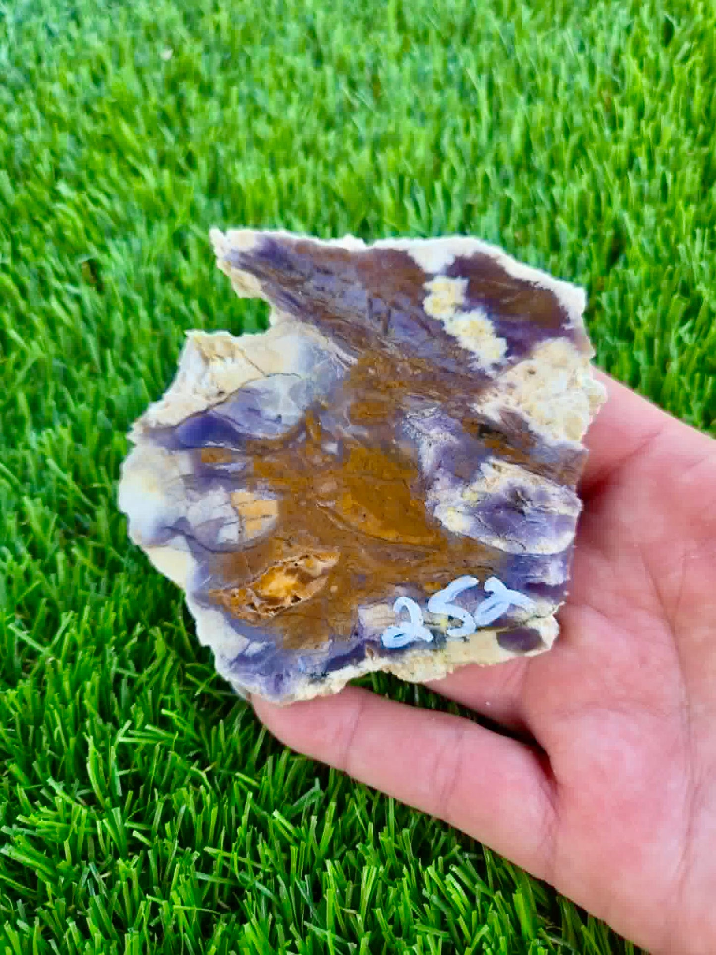 Purple Burro Creek Agate Slab 252-257