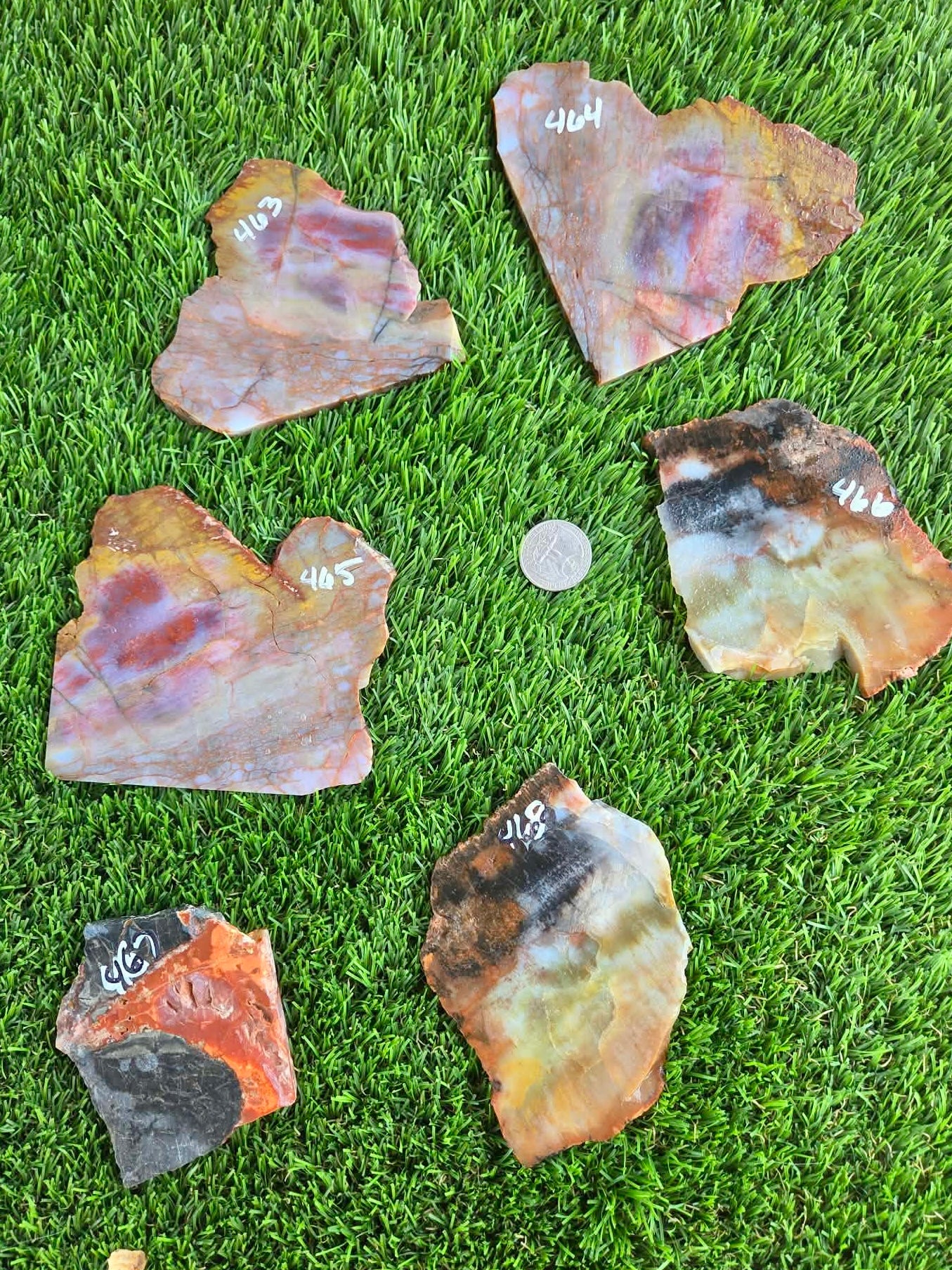 Arizona Rainbow Petrified Wood Slab J463-469