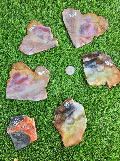 Arizona Rainbow Petrified Wood Slab J463-469