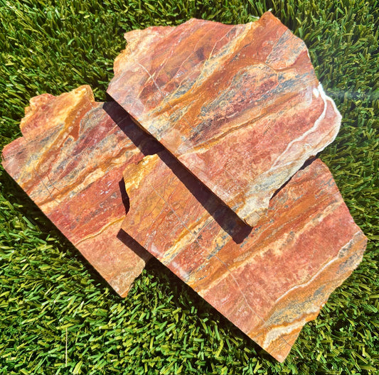 Hollbrook Rainbow Petrified Wood