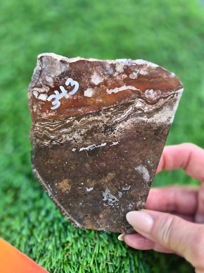 Wild Horse Jasper Slabs G342-348
