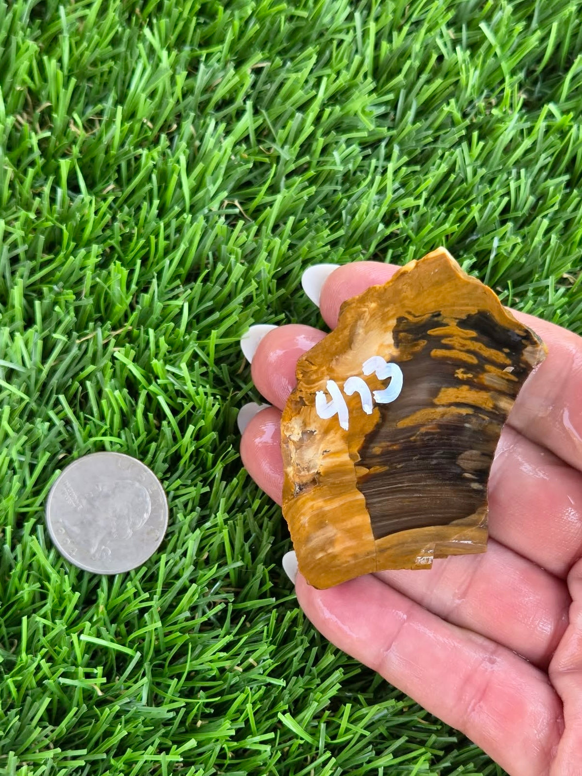 Utah Petrified Wood Slabs J470-473