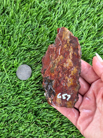 Red & Mustard Jasper Slabs N652-657