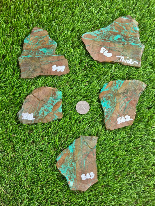 Globe Chrysocolla & Malachite Slabs R859–863