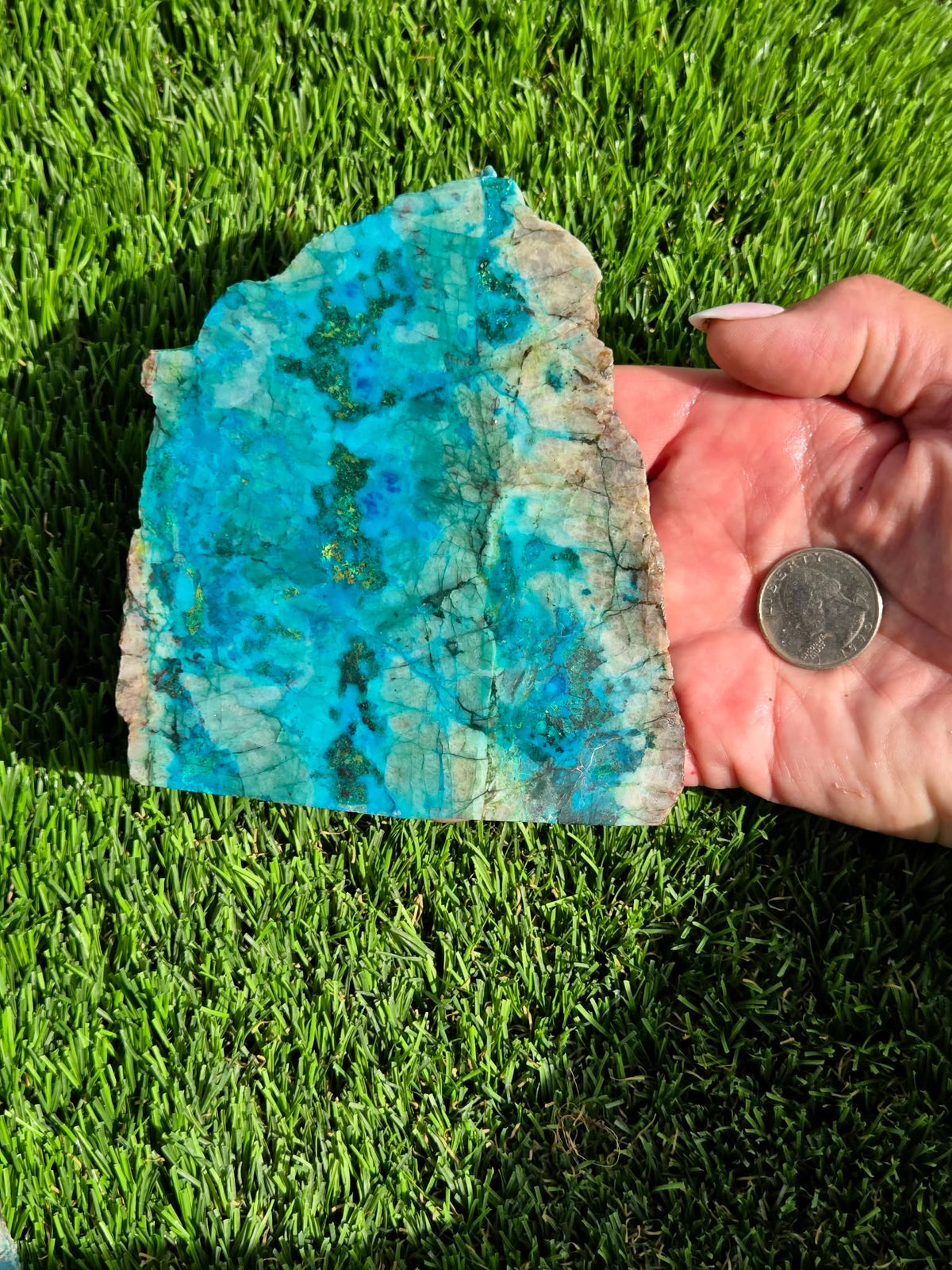 Chrysocolla, Limonite & Tenorite Slabs V975–978