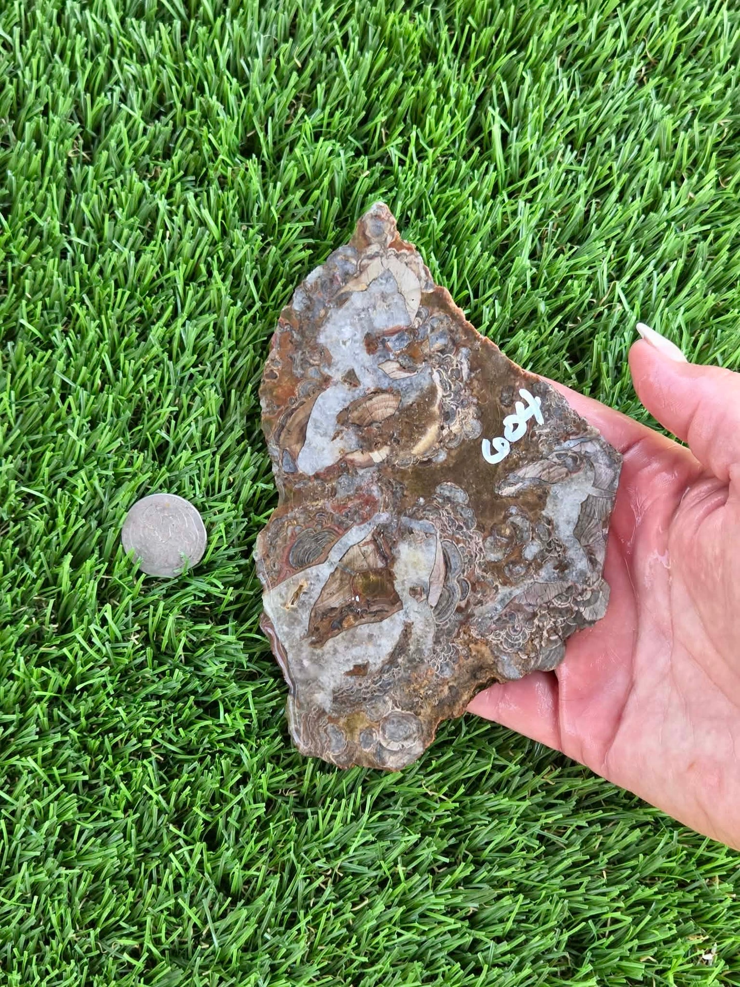 Green Mushroom Rhyolite M601-604