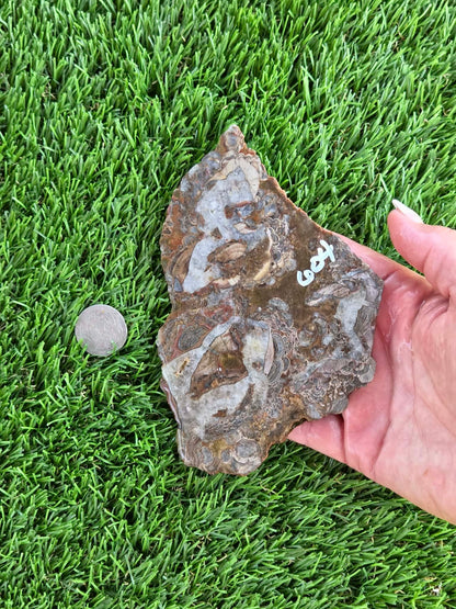Green Mushroom Rhyolite M601-604